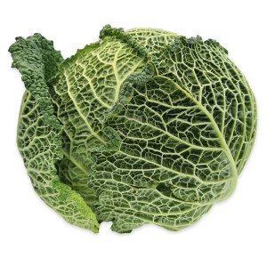 Kapusta