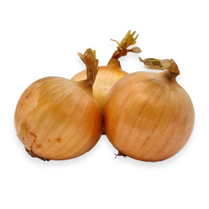 Cibule žlutá
