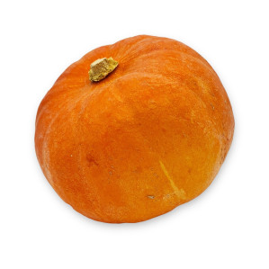 Dýně hokkaido