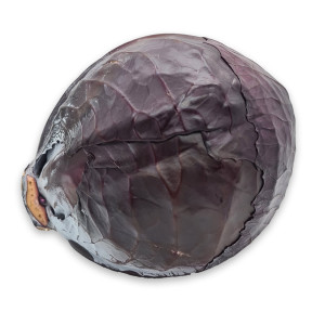 zelí červené