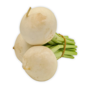 Ředkev Mozarella svazek