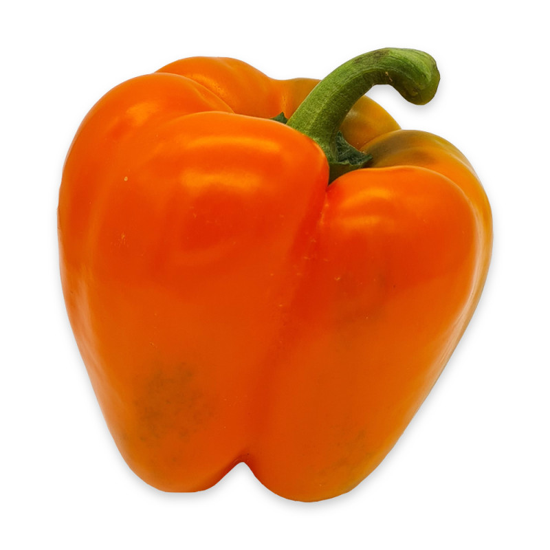detail Paprika oranžová