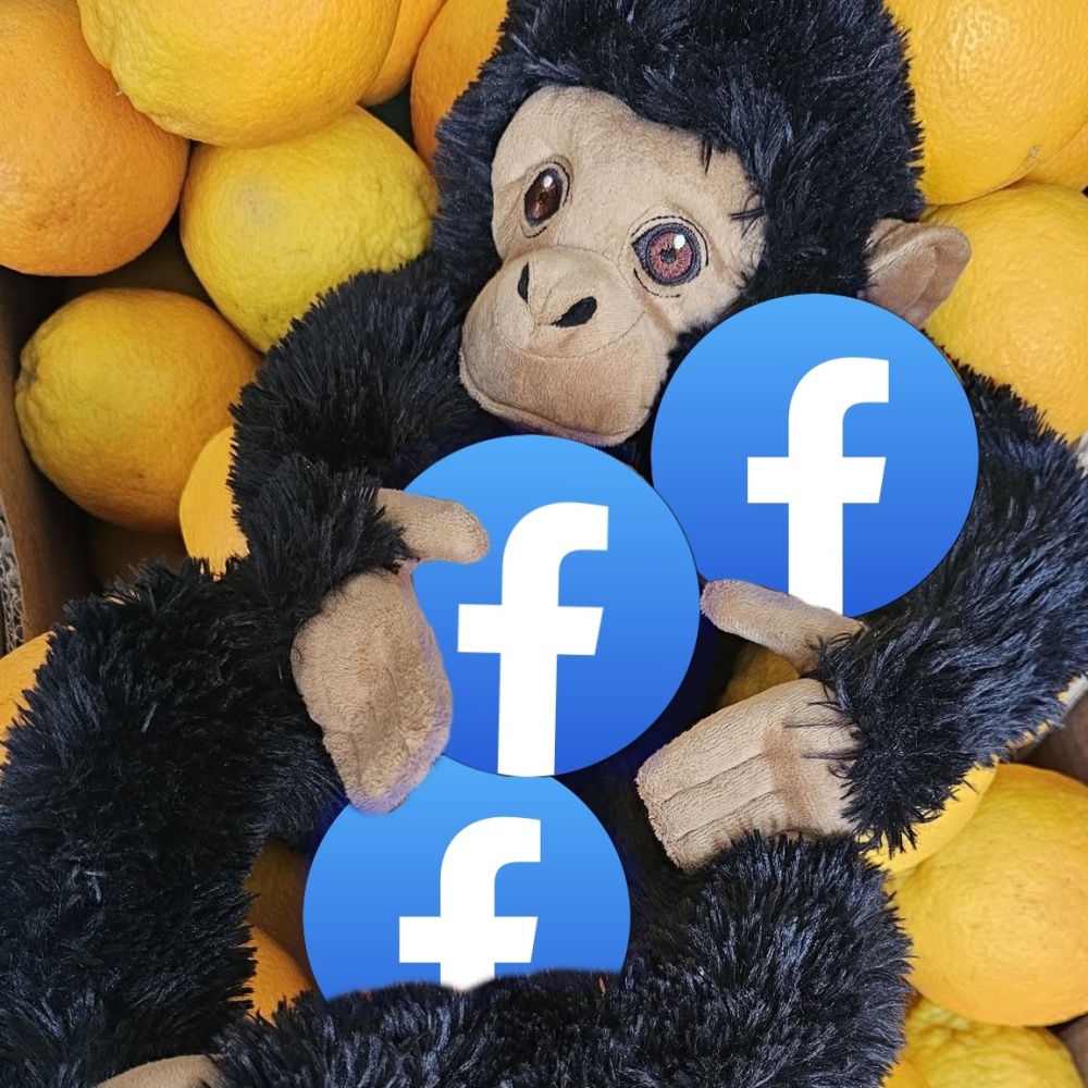 Facebook: Hopfruit